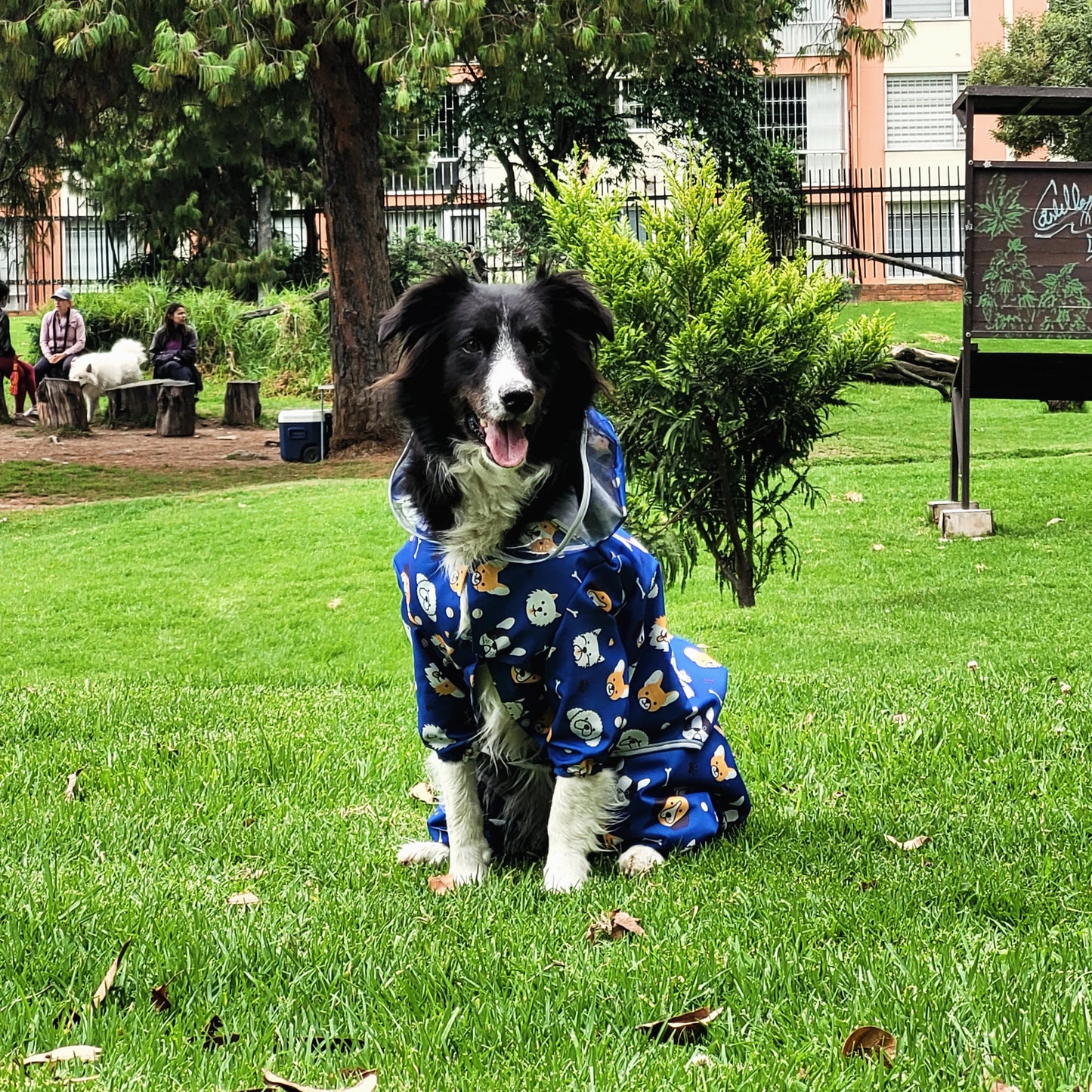 Capa tribu pets g, para lluvia  4xl unisex.